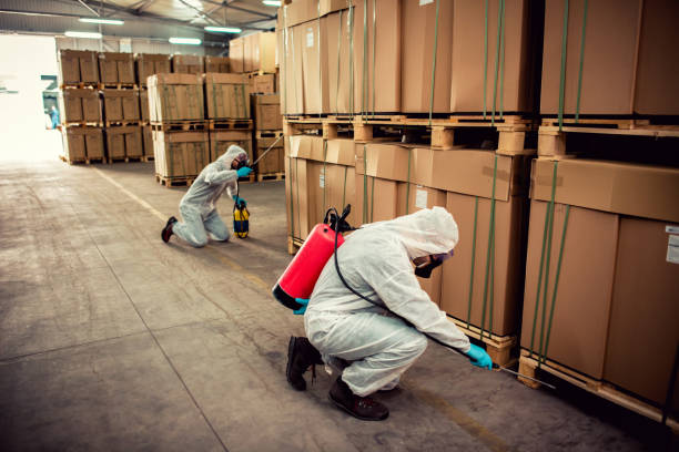 Pest Prevention Services in Osakis, MN