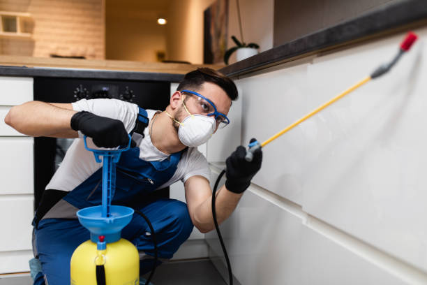 Best Flea Control Services  in Osakis, MN