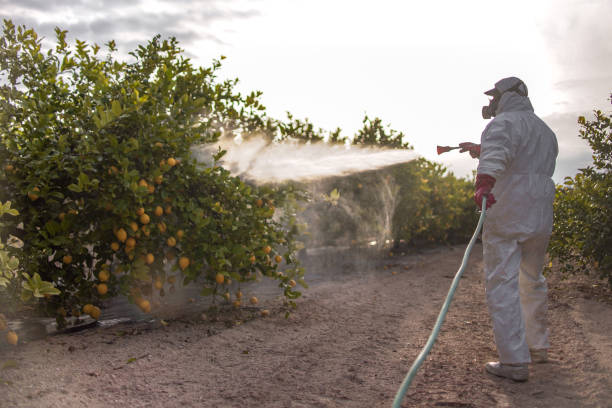 Osakis, MN Pest Control Company