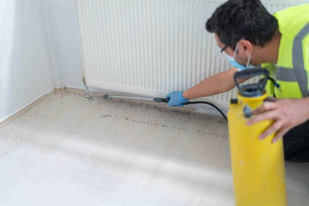 Best Residential Pest Control  in Osakis, MN